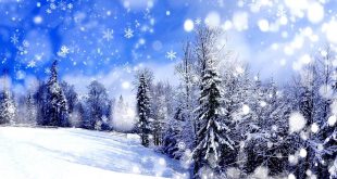 snowfall- snowman-yalda night